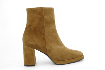 DI LAURO 38036  230253