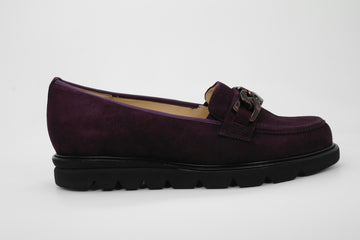 HASSIA 301578  230409