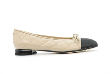 BRUNATE 10405  230871