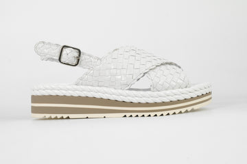 Pons Quintana 9797.T00  230929