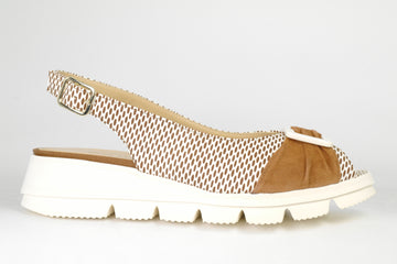 BRUNATE 39655  231847