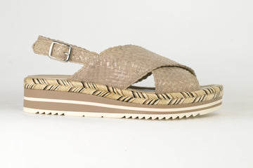 Pons Quintana 11531  231871