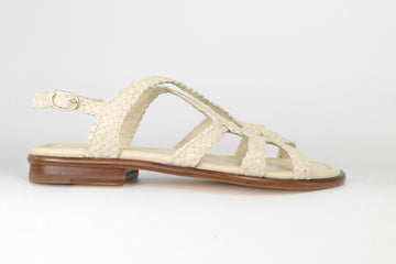 Pons Quintana 11237  231875