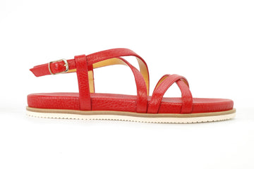 TRUMAN'S 4146  231951