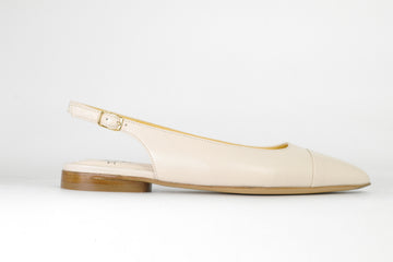 TRUMAN'S 9981  231952