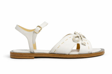 TRUMAN'S 4373  232955