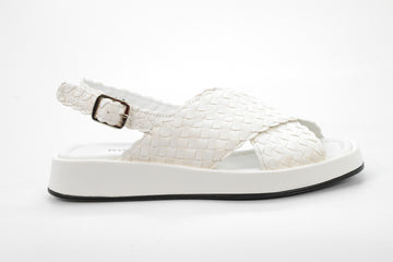 Pons Quintana  40883