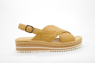 Pons Quintana  40886