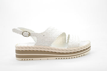 Pons Quintana  40888