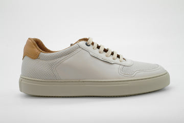 FRATELLI ROSSETTI  40923