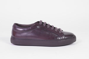 ROSSETTI ONE 46520 BRUIN  38359